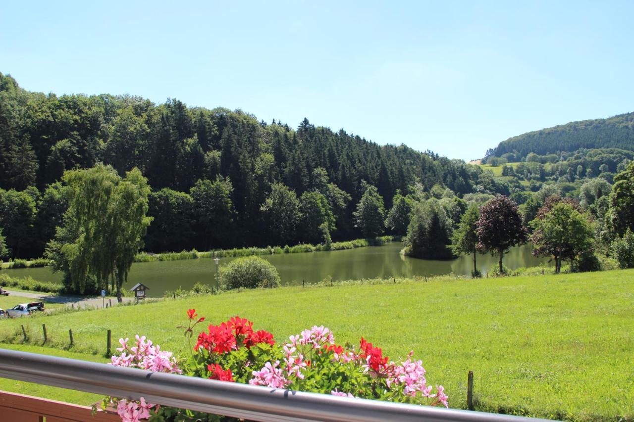Haus Am Stryckpark Appartement Willingen  Buitenkant foto