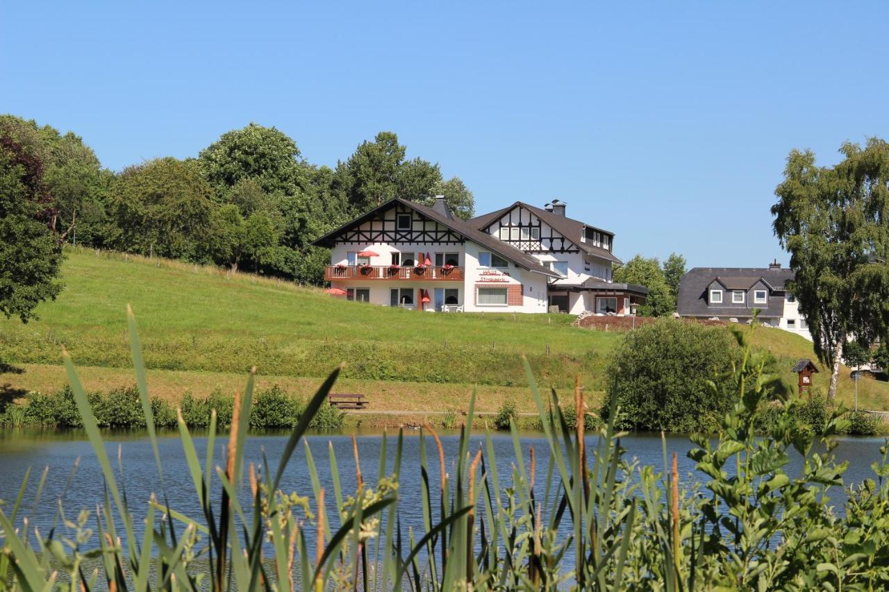 Haus Am Stryckpark Appartement Willingen  Buitenkant foto